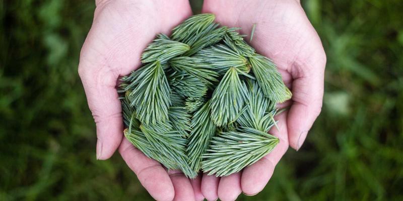 从投诉到忠诚:揭秘广西龙升装饰如何用售后体系赢得客户心