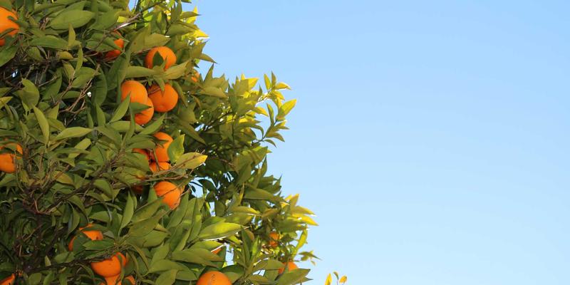 从“面子”到“里子”：广西龙升如何以装饰装修与建筑施工赋能乡村振兴